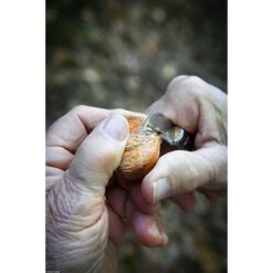 Opinel Couteau N°07 Châtaigne, Ail Et Dénoyauteur 11 Opinel Couteau N°07 Châtaigne, Ail Et Dénoyauteur -Ustensiles De Cuisine Boutique 411012 4 2 Couteau N 07 chataigne ail et denoyauteur Opinel