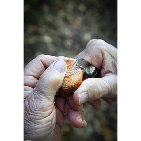 Opinel Couteau N°07 Châtaigne, Ail Et Dénoyauteur 7 Opinel Couteau N°07 Châtaigne, Ail Et Dénoyauteur – Image 5