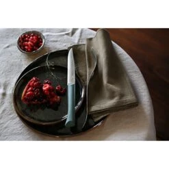 Opinel Coffret 4 Couteaux De Table Lame Micro-dentée 11 Cm Bon Appétit Plus Anthracite 11 Opinel Coffret 4 Couteaux De Table Lame Micro-dentée 11 Cm Bon Appétit Plus Anthracite -Ustensiles De Cuisine Boutique 419003 4 2 Coffret 4 couteaux de table lame micro dentee 11 cm Bon Appetit Plus anthracite Opinel