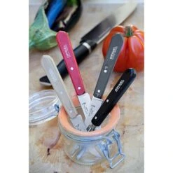 Opinel Coffret 4 Couteaux Essentiels Loft 7 Opinel Coffret 4 Couteaux Essentiels Loft -Ustensiles De Cuisine Boutique 471165 2 3 Coffret 4 couteaux Essentiels Loft Opinel