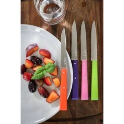 Opinel Coffret 4 Couteaux De Table Pop -Ustensiles De Cuisine Boutique 471245 3 3 Coffret 4 couteaux de table Pop Opinel