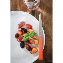 Opinel Coffret 4 Couteaux De Table Pop -Ustensiles De Cuisine Boutique 471245 4 3 Coffret 4 couteaux de table Pop Opinel