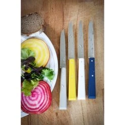 Opinel Coffret 4 Couteaux De Table Céleste -Ustensiles De Cuisine Boutique 471246 3 3 Coffret 4 couteaux de table Celeste Opinel