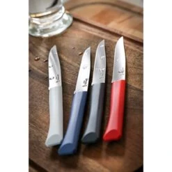 Opinel Coffret 4 Couteaux De Table Bon Appétit -Ustensiles De Cuisine Boutique 471248 1 3 Coffret 4 couteaux de table Bon Appetit Opinel
