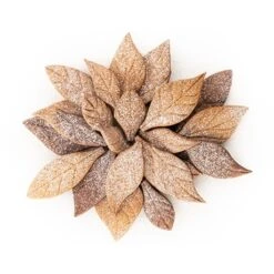 Silikomart Emporte-pièce Voila Cookie - Feuilles 24 X 15 Cm 9 Silikomart Emporte-pièce Voila Cookie - Feuilles 24 X 15 Cm -Ustensiles De Cuisine Boutique 561004 2 2 Emporte piece Voila cookie Feuilles 24 x 15 cm Silikomart