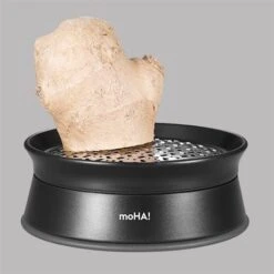 Râpe à Gingembre Ginger