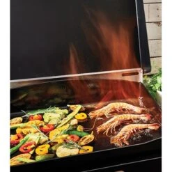 Plancha électrique 2 Brûleurs 4420.00 -Ustensiles De Cuisine Boutique 714003 1 3 Plancha electrique 2 bruleurs 4420 00 De buyer By Le Marquier