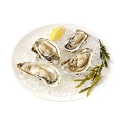 Princess Machine à Glace Pilée 01.282984.01.001 -Ustensiles De Cuisine Boutique 780162 4 2 Machine a glace pilee 01 282984 01 001 Princess