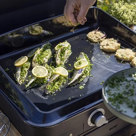 Plancha à Gaz Combo Enosign 65 Bleu Navy 2 Feux 6 Plancha à Gaz Combo Enosign 65 Bleu Navy 2 Feux – Image 4